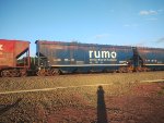 RUMO HTT-065648-8